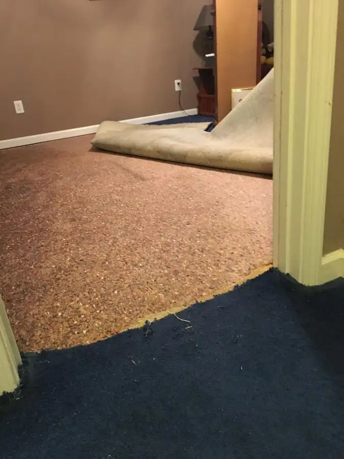 Carpet pad removal revealing water damage during Water Mitigation Services in Tallahassee