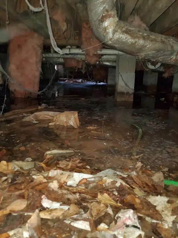 Crawl space flood assessment for Leak Detection & Repair in Tallahassee