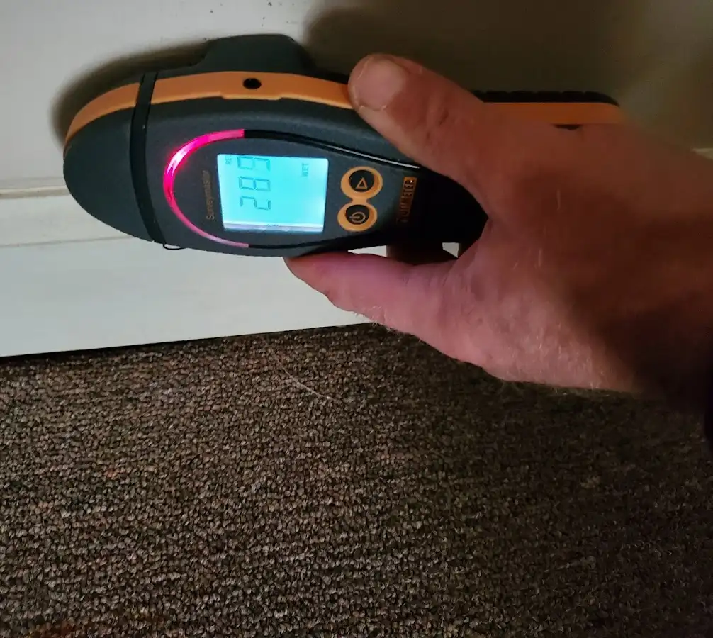 Moisture detection at baseboard during Mold Inspection & Testing in Tallahassee